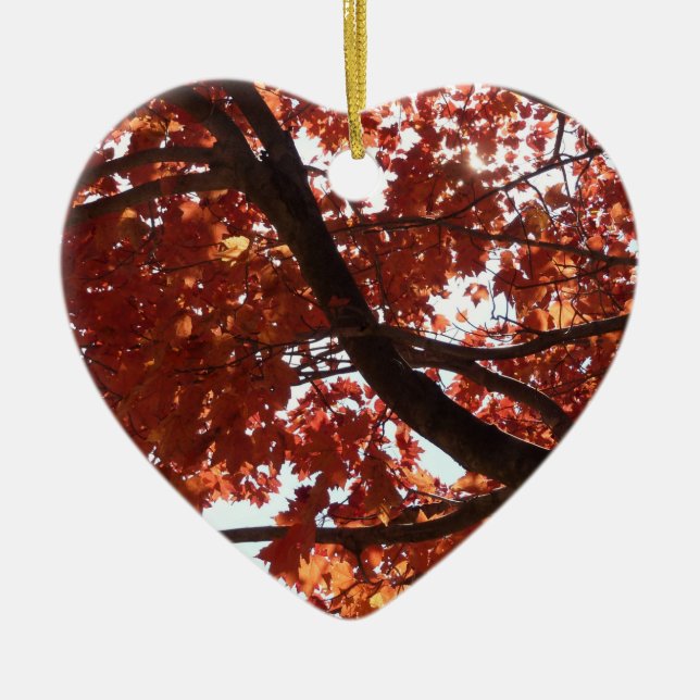 Red Maple Branches Autumn Colours Ceramic Ornament (Front)
