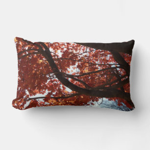 Red Maple Branches Autumn Colours Lumbar Cushion