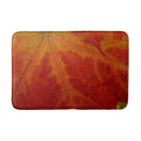 Red Maple Leaf Abstract Autumn Nature Photography