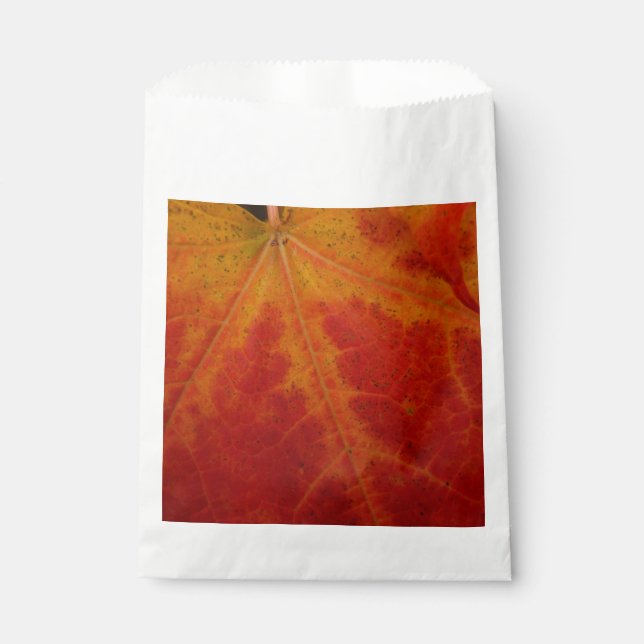 Red Maple Leaf Abstract Autumn Nature Photography Favour Bag (Front)
