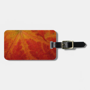 Red Maple Leaf Abstract Autumn Nature Photography Luggage Tag
