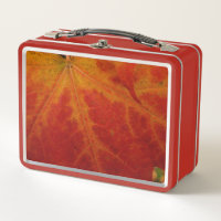 Red Maple Leaf Abstract Autumn Nature Photography