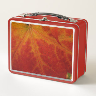 Red Maple Leaf Abstract Autumn Nature Photography Metal Lunch Box
