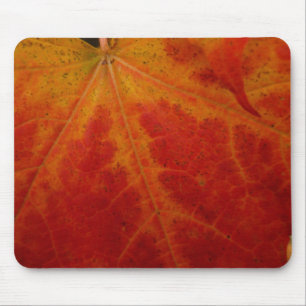 Red Maple Leaf Abstract Autumn Nature Photography Mouse Pad