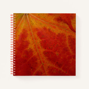 Red Maple Leaf Abstract Autumn Nature Photography Notebook