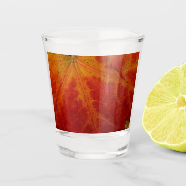 Red Maple Leaf Abstract Autumn Nature Photography Shot Glass (Front)