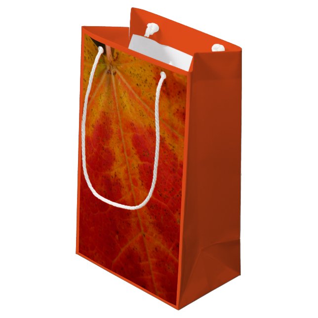 Red Maple Leaf Abstract Autumn Nature Photography Small Gift Bag (Back Angled)