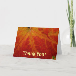 Red Maple Leaf Abstract Autumn Nature Photography Thank You Card