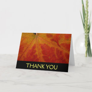 Red Maple Leaf Abstract Autumn Nature Photography Thank You Card
