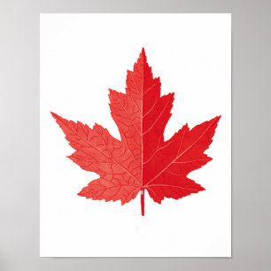 Red Maple leaf Canada Day art print no.11