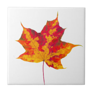 Red maple leaf ceramic tile