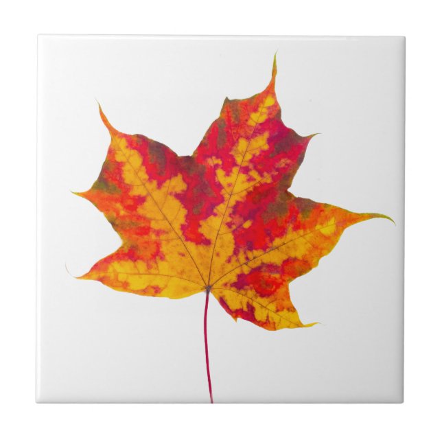 Red maple leaf ceramic tile (Front)