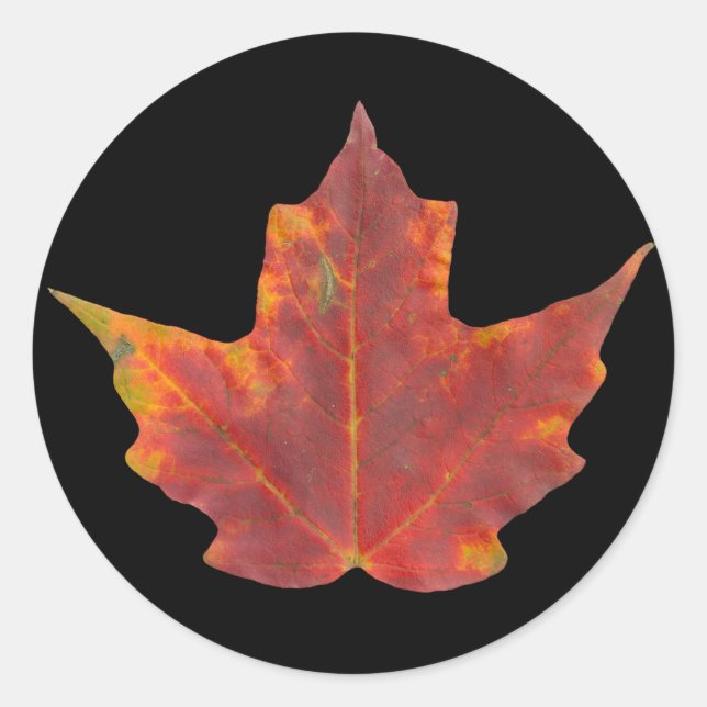Red Maple Leaf Classic Round Sticker (Front)