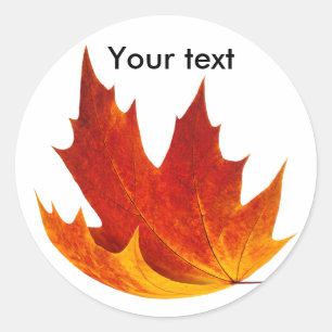 Red maple leaf classic round sticker