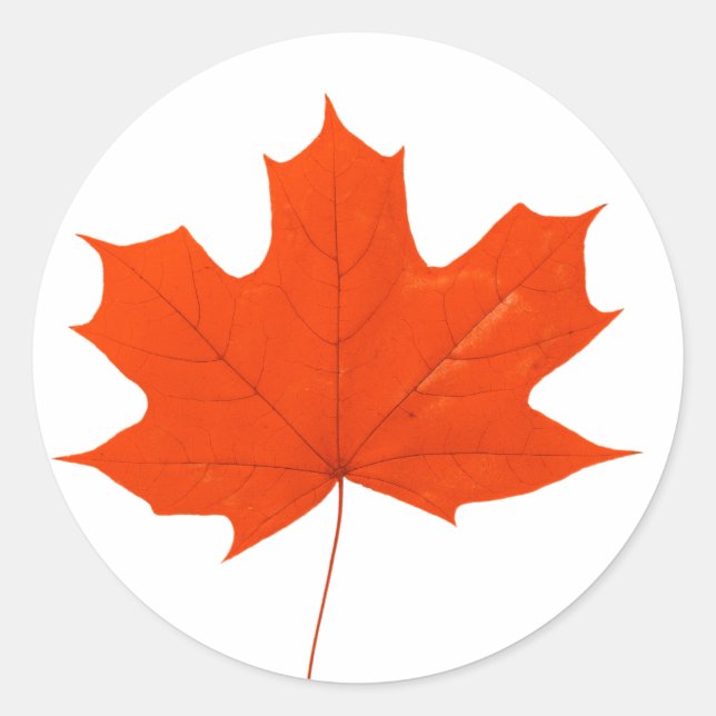 Red maple leaf classic round sticker (Front)