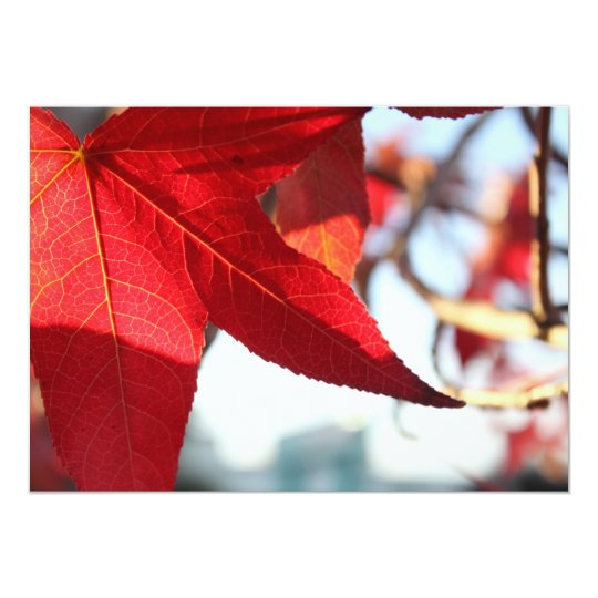 Red Maple Leaf Invitation