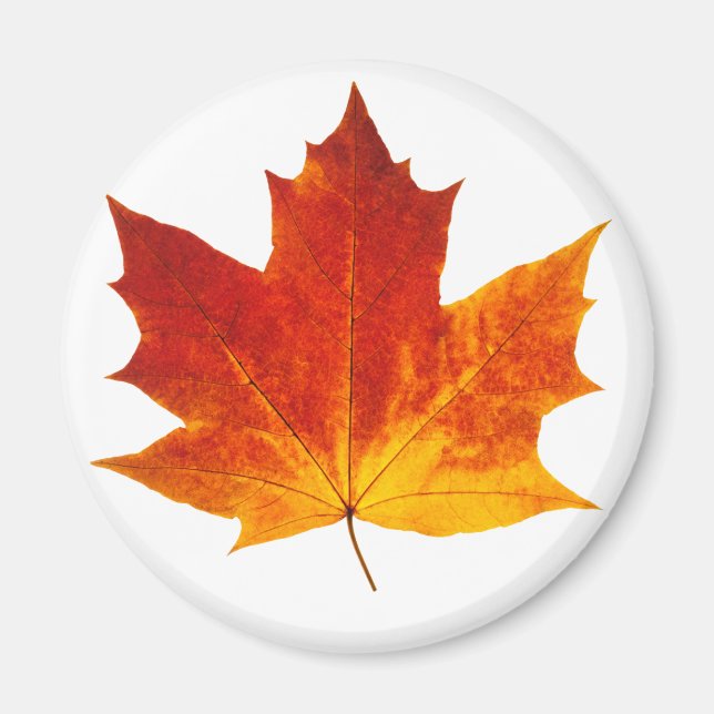 Red maple leaf magnet (Front)