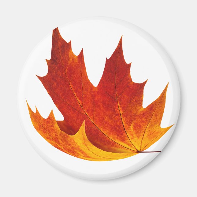 Red maple leaf magnet (Front)