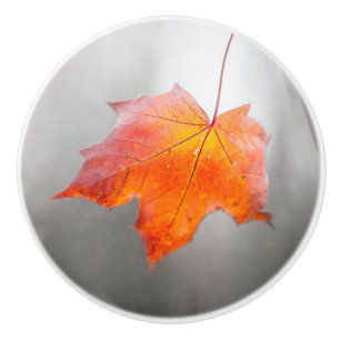 Red Maple Leaf - Velvet Autumn Ceramic Knob