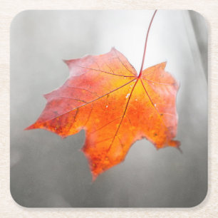 Red Maple Leaf - Velvet Autumn Square Paper Coaster