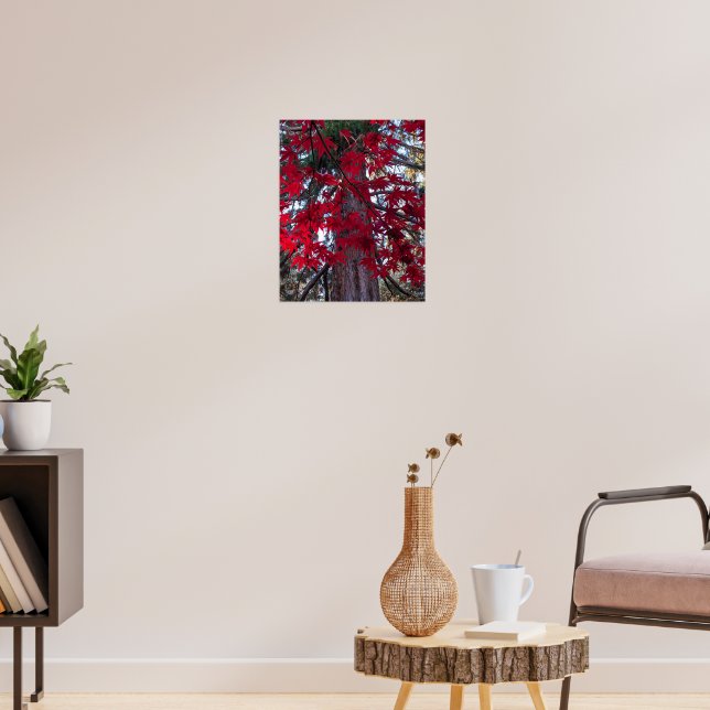 Red Maple Leaves and Giant Sequoia Poster (Living Room 3)