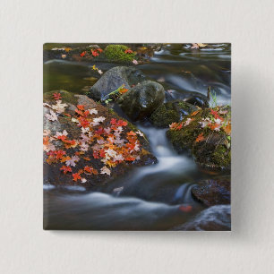 Red maple leaves carpet the rocks in the 15 cm square badge