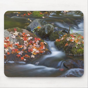 Red maple leaves carpet the rocks in the mouse pad