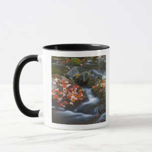 Red maple leaves carpet the rocks in the mug