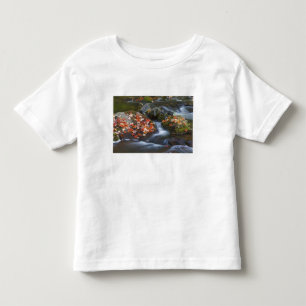 Red maple leaves carpet the rocks in the toddler T-Shirt