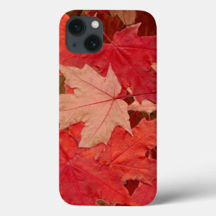 Red Maple Leaves iPhone 13 Case