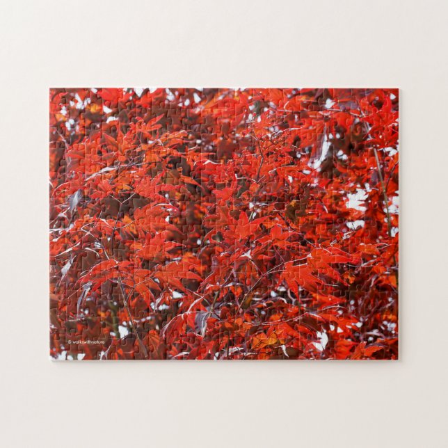 Red Maple Leaves Jigsaw Puzzle (Horizontal)