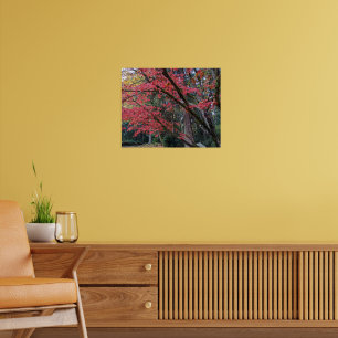 Red Maple Leaves on Tree Botancial Poster