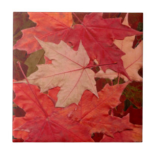 Red Maple Leaves Tile