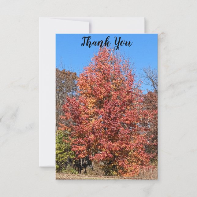 Red Maple Thank You Card (Front)