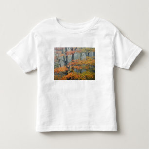 Red Maple tree, Acer rubrum, portrait in foggy Toddler T-Shirt