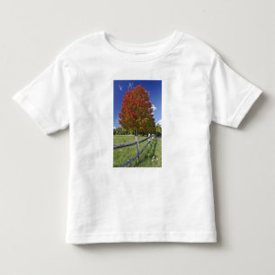 Red Maple tree in autumn colours, near Concord, 2 Toddler T-Shirt