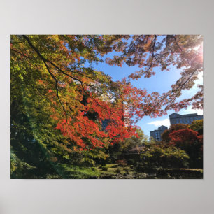 Red Maples at Japanese Garden Poster