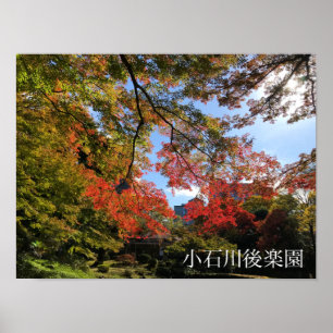 Red Maples at Japanese Garden Poster