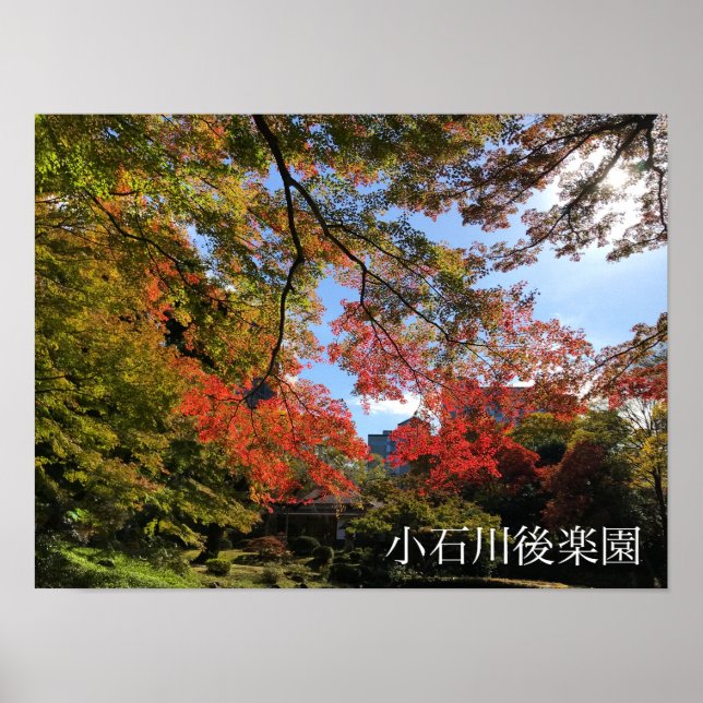 Red Maples at Japanese Garden Poster (Front)