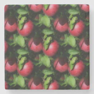 Red McIntosh Apples Nature Art Pattern Stone Coaster