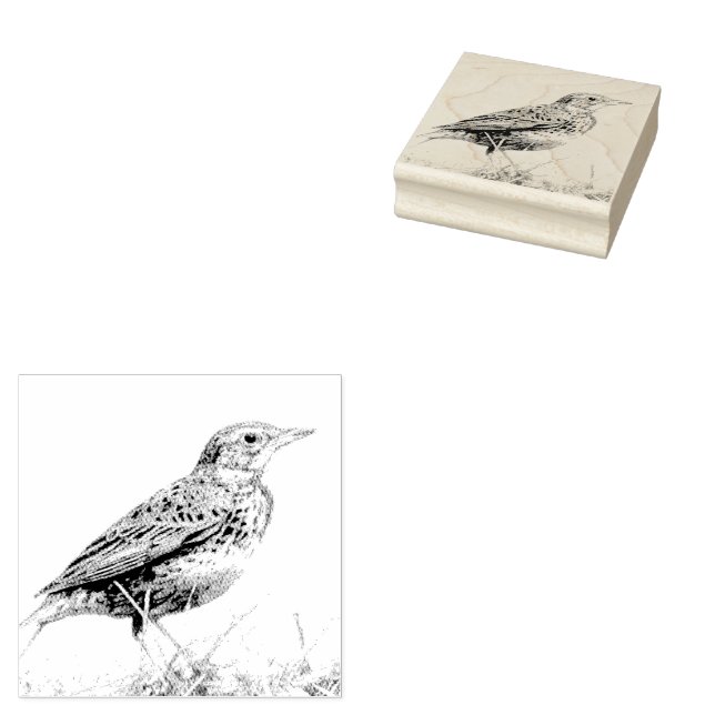 Red Meadowlark Postage Stamp (Stamped)
