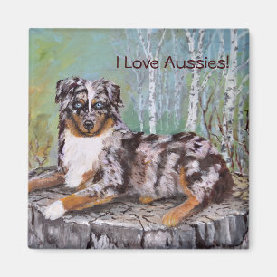 Red Merle Aussie - Beautiful Flower Magnet