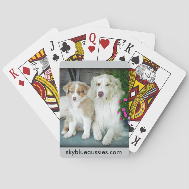 Red Merle Aussie playing cards. Playing Cards (Back)