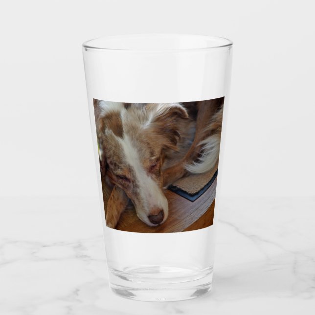 red merle aussie sleeping glass (Front)
