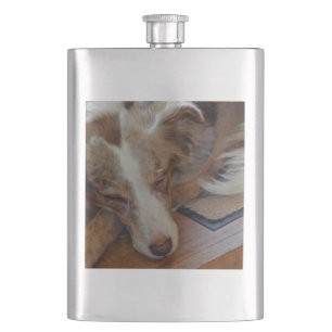 red merle aussie sleeping hip flask