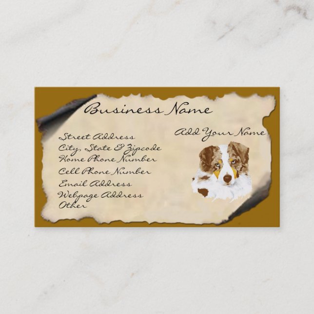 Red Merle Australian Shepherd on Parchment Business Card (Front)