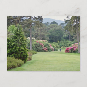 Red Muckross House Gardens, Ireland flowers Postcard