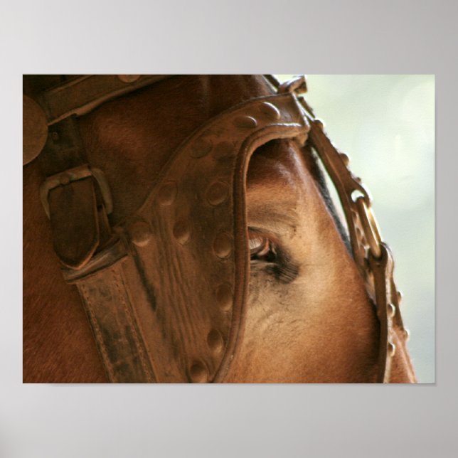 Red Mule - Eye Poster (Front)