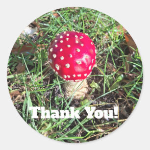 Red mushroom classic round sticker