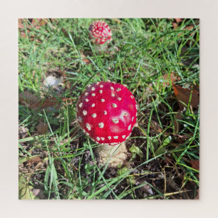 Red mushroom jigsaw puzzle